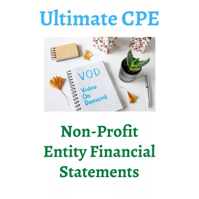 Non-Profit Entity Financial Statements